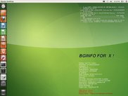 BGINFO4X for Ubuntu and tailing a file